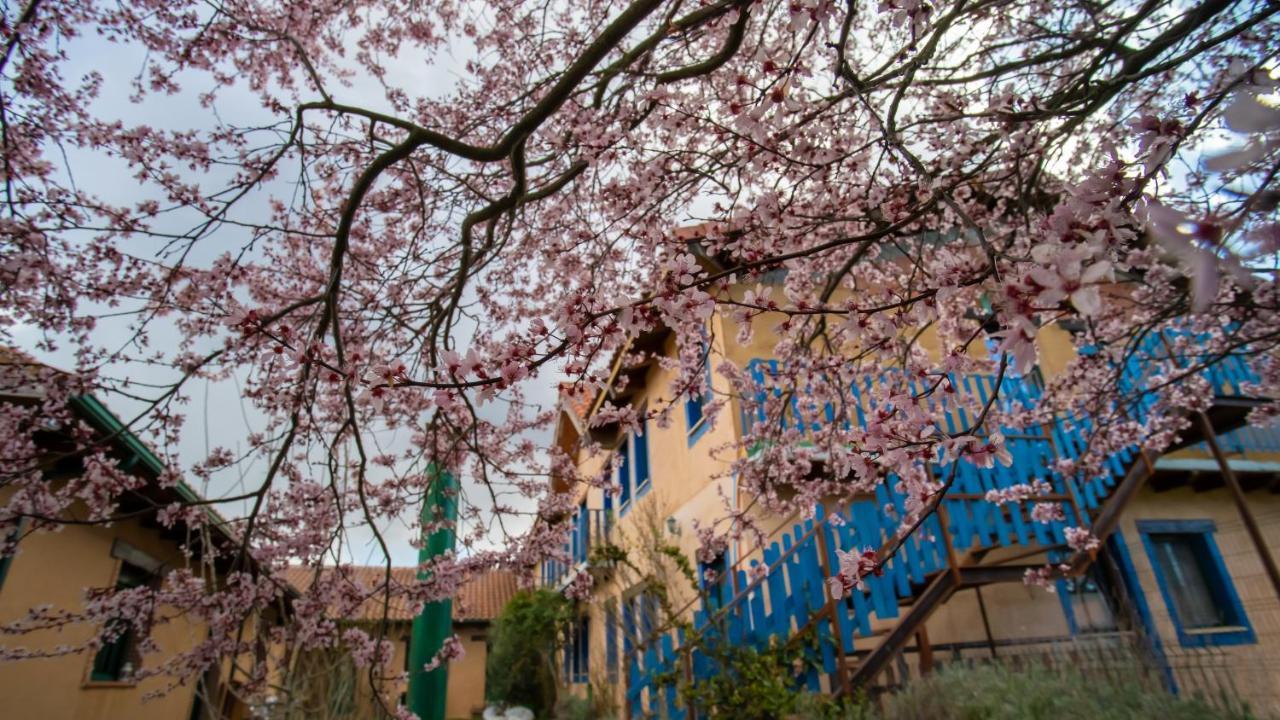 Albergue De Peregrinos Casa FlorMurias de Rechivaldo エクステリア 写真